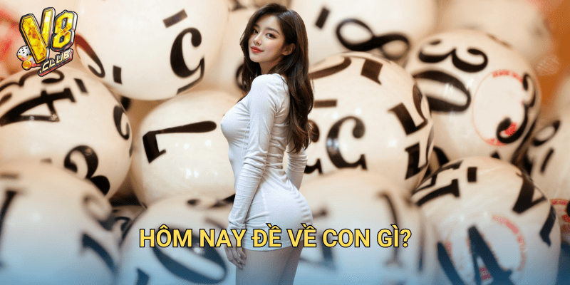 Hôm nay đề về con gì?