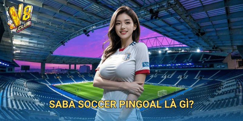 Saba Soccer Pingoal là gì?